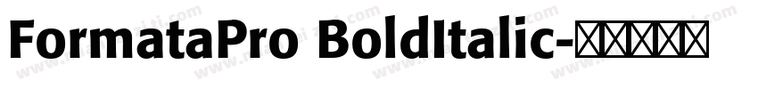 FormataPro BoldItalic字体转换